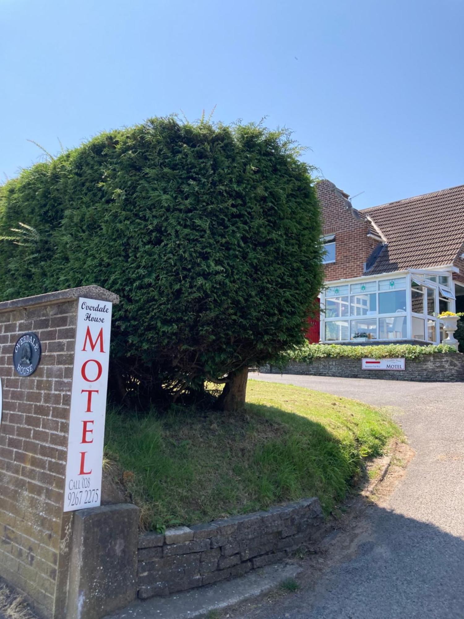Overdale Motel Lisburn Ngoại thất bức ảnh