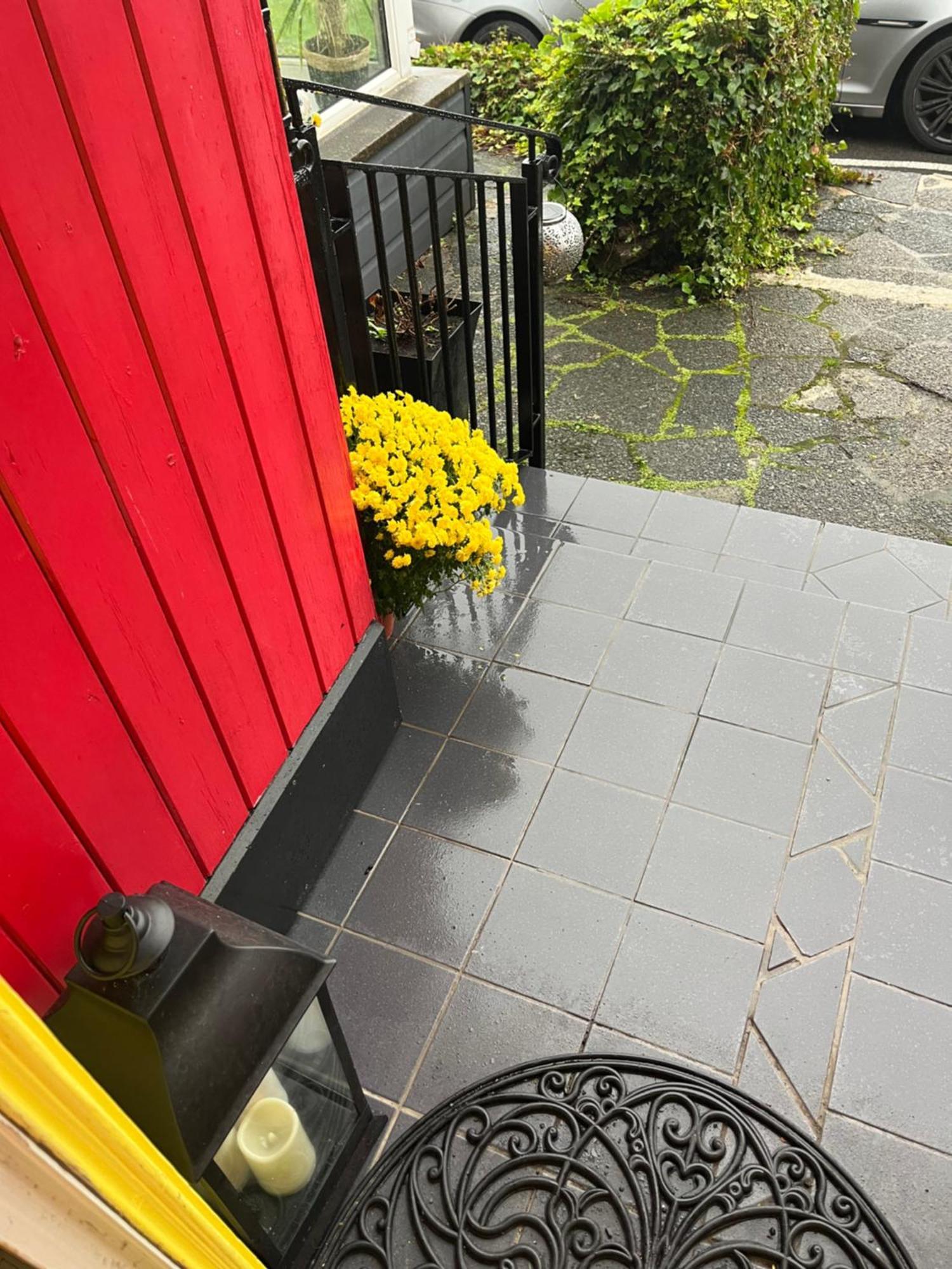 Overdale Motel Lisburn Ngoại thất bức ảnh